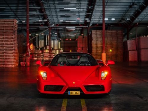Ferrari Enzo rot